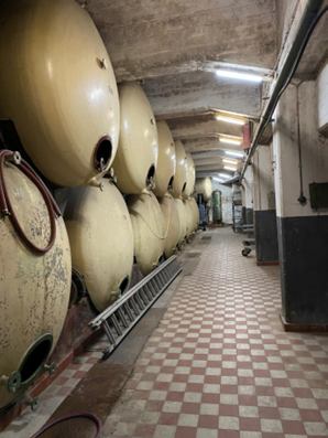 Stahltanks im Weinkeller - Rathausverein Oberwinter