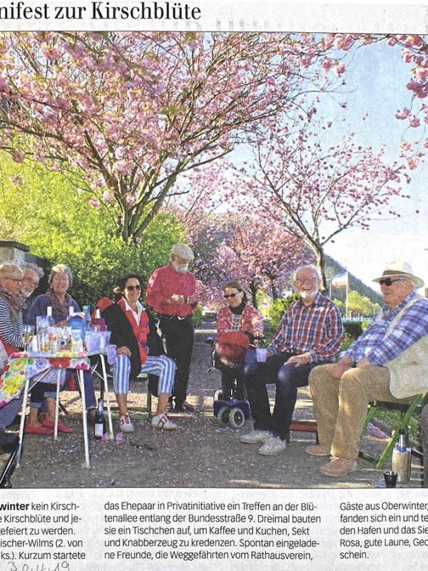 Spontanes Minifest zur Kirschblüte